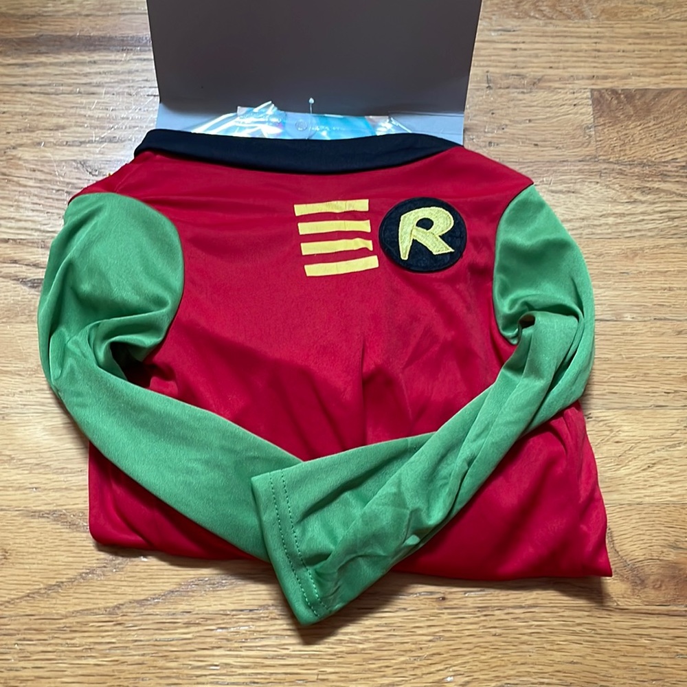 Halloween costume for dog. Robin.